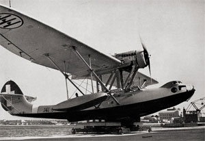 Image of the CANT Z.501 Gabbiano (Gull)