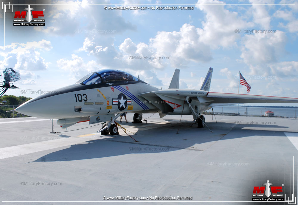Image of the Grumman F-14 Tomcat