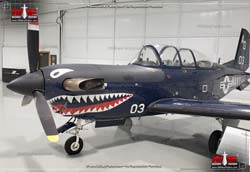 Picture of the Beechcraft T-34 Mentor