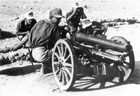 Cannone da 65-17 Modello 13 gun flag