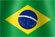 National flag of the country of Brazil (image)