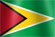 National flag of the country of Guyana (image)