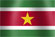 National flag of the country of Suriname (image)