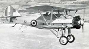 Picture of the Armstrong Whitworth Siskin