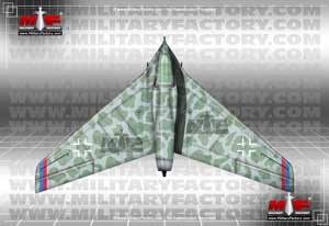 Picture of the Horten Ho X
