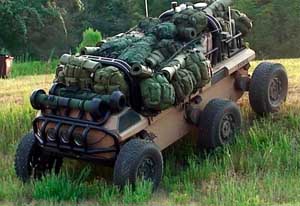 Picture of the MULE (Multifunction Utility / Logistics and Equipment)